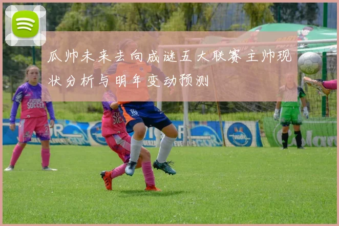 瓜帅未来去向成谜五大联赛主帅现状分析与明年变动预测